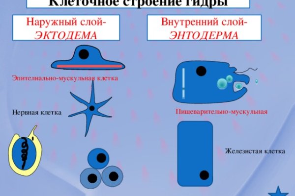 Как перевести биткоины на мегу