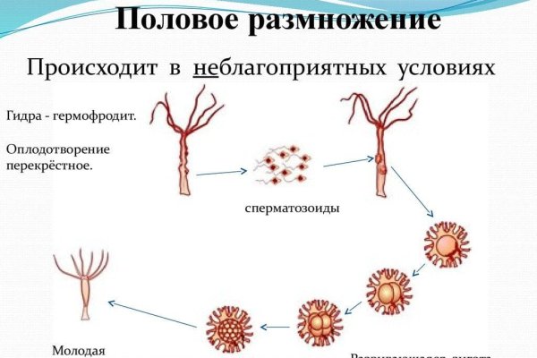 Омг ссылка omg omg ssylka onion com