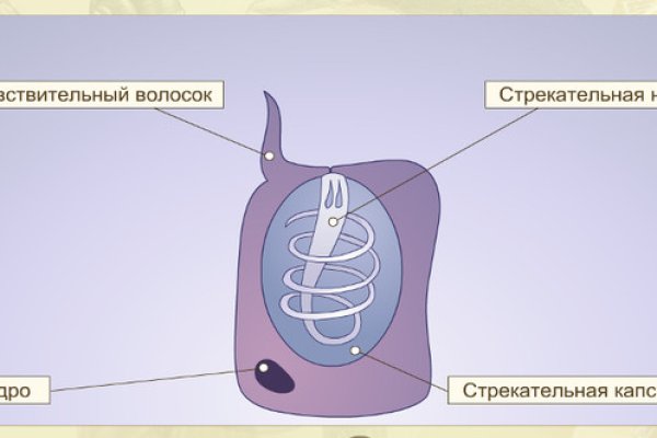 Мега даркнет megadarknetonion com