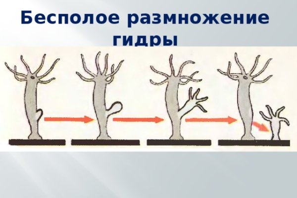 Омг онион все о параллельном