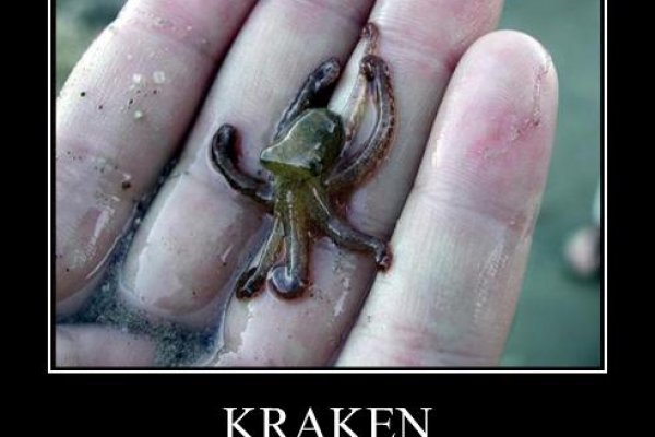 Kraken darknet зеркала