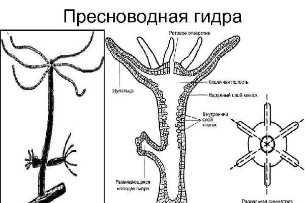 Omg сайт даркнет ссылка